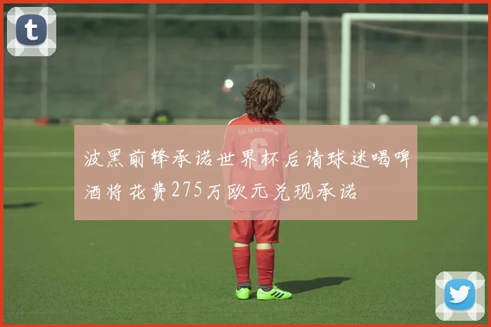 波黑前锋承诺世界杯后请球迷喝啤酒将花费275万欧元兑现承诺