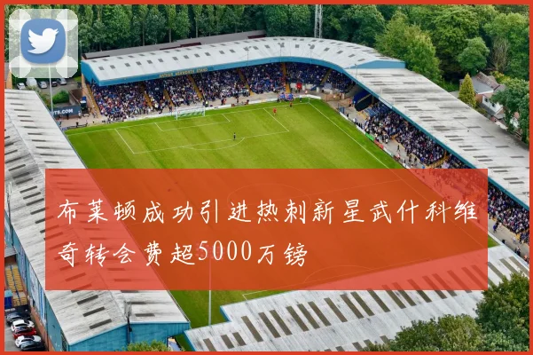 布莱顿成功引进热刺新星武什科维奇转会费超5000万镑