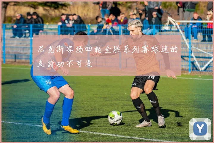 尼克斯客场四轮全胜系列赛球迷的支持功不可没